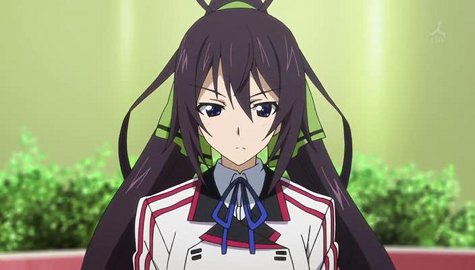 Are there any anime characters that look like houki from infinite stratos?  - 9GAG